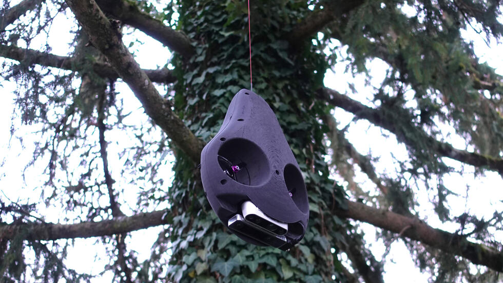 robot "avocado" high up on a tree
