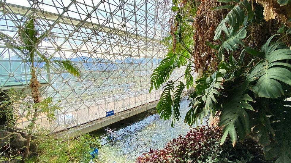 Biosphere II greenhouse jungle