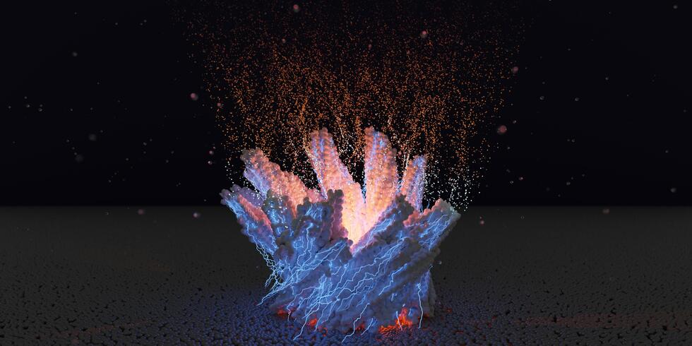 "Nanowire" filaments of the enzyme HDCR